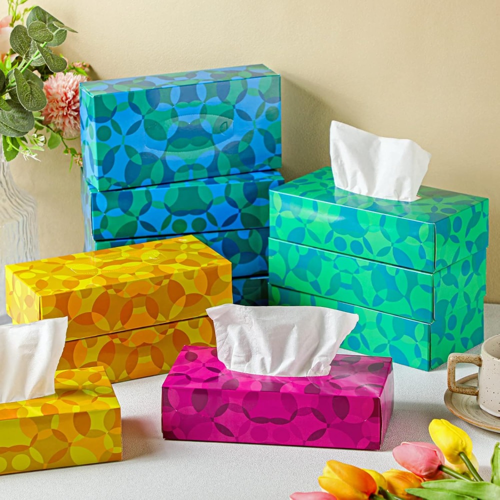 12 Packs Soft Facial Tissues B - огляд і ціна Home Bathroom Images